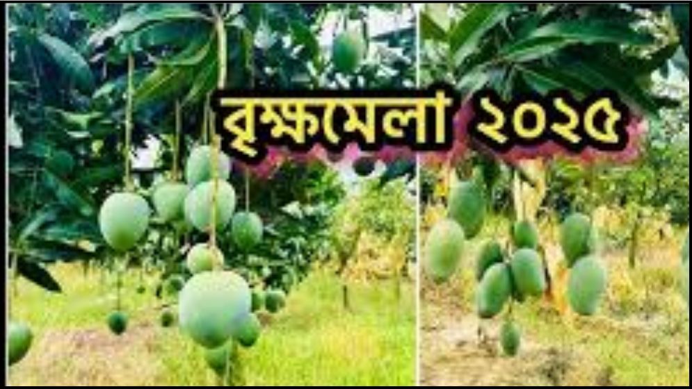 জাতীয় বৃক্ষমেলায় ‘গাছ চেনা প্রতিযোগিতা ২০২৫’ অনুষ্ঠিত