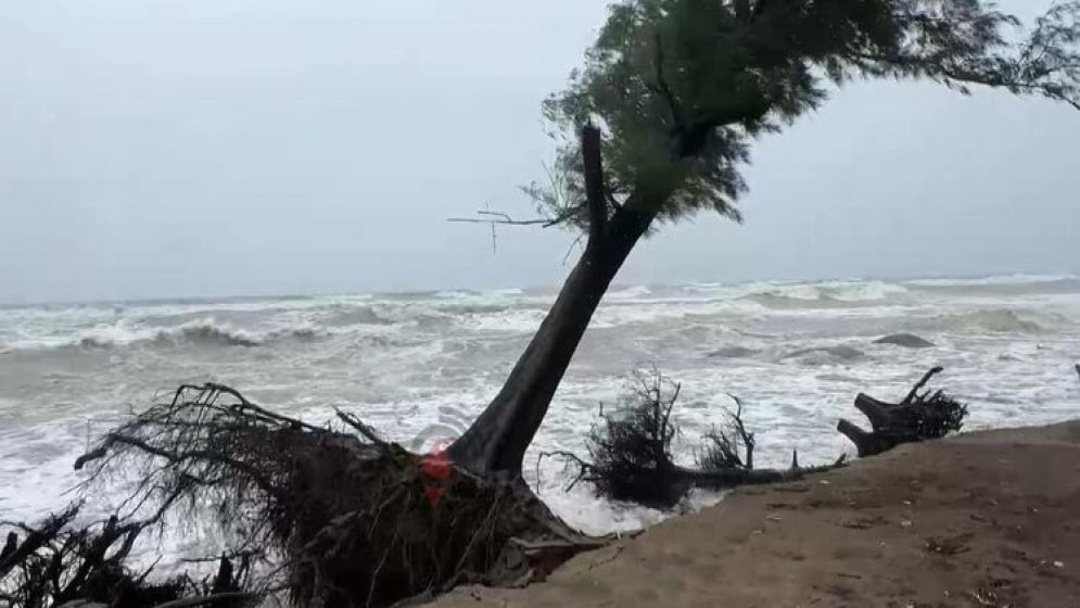 নিম্নচাপ : জলোচ্ছ্বাসে প্লাবিত হতে পারে ১৫ জেলা