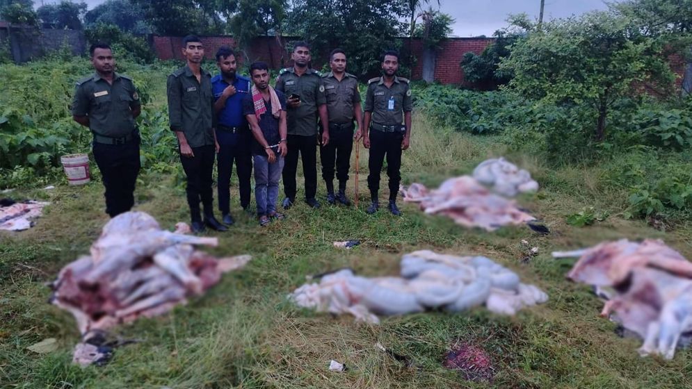 রূপগঞ্জে ঘোড়ার মাংস বিক্রির অভিযোগে বিক্রেতা আটক