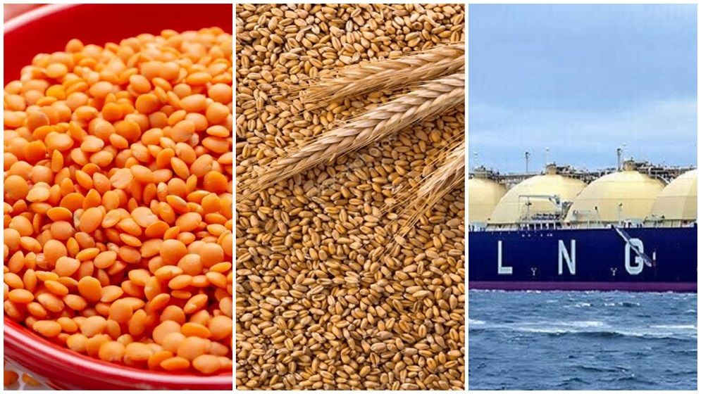 মার্কিন শুল্ক কমাতে যুক্তরাষ্ট্র থেকে ৩ বিলিয়ন ডলার আমদানি বাড়াচ্ছে বাংলাদেশ