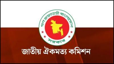 বিমান বিধ্বস্ত : জাতীয় ঐকমত্য কমিশনের আলোচনা স্থগিত