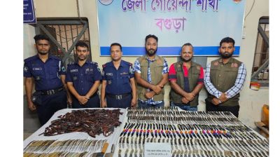 বগুড়ায় ৮১০ চায়নিজ ফোল্ডিং চাকু ও দুই চাপাতি উদ্ধার