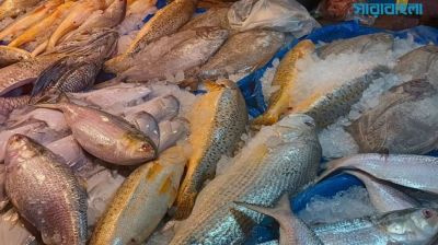 চট্টগ্রামে সবজি-মাছ, ডিম-মুরগির দাম চড়া