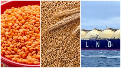 মার্কিন শুল্ক কমাতে যুক্তরাষ্ট্র থেকে ৩ বিলিয়ন ডলার আমদানি বাড়াচ্ছে বাংলাদেশ