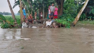 তিস্তার পানি বৃদ্ধিতে ভোগান্তিতে লালমনিরহাটের হাজারো পরিবার