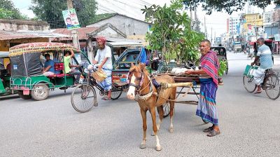ঘোড়ার গাড়িতে চারা বিলান বৃক্ষপ্রেমী সাজাহান