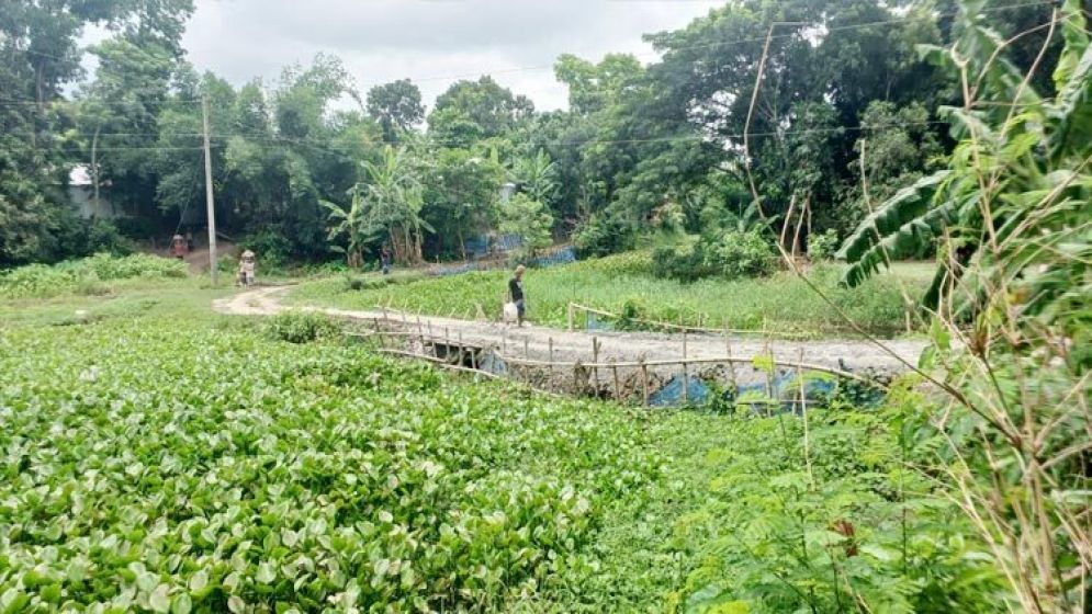 রাতের আঁধারে খালের ওপর রাস্তা বানালেন ইউপি চেয়ারম্যান