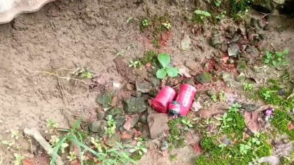 ফরিদপুরে বাড়ির আঙিনা থেকে দুই ককটেল উদ্ধার