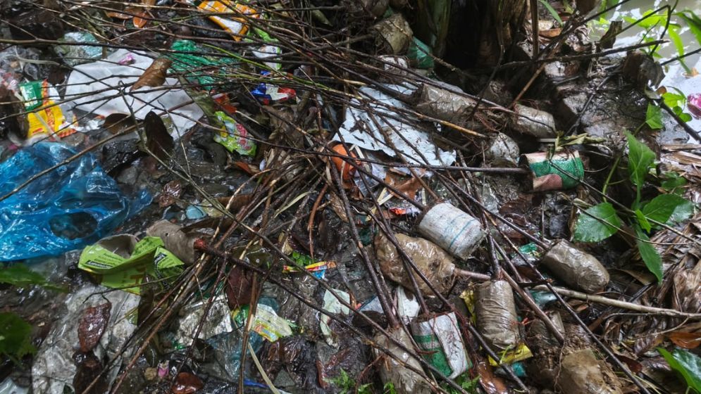 রূপগঞ্জে হাজার গাছের চারা বিতরণ না করে খালে