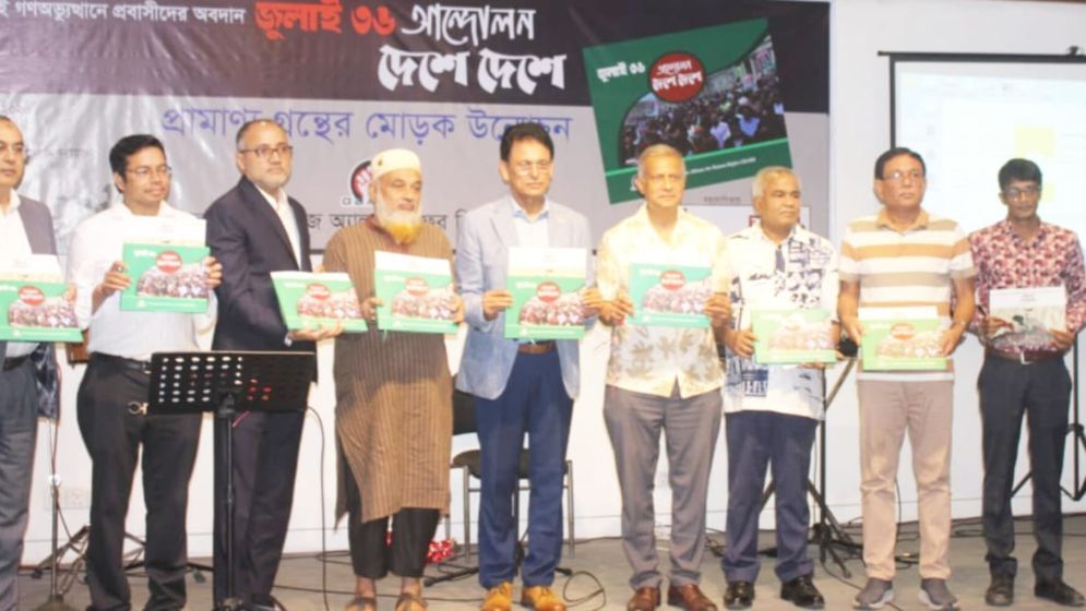 গণঅভ্যুত্থানে অবদানের স্বীকৃতি চেয়েছেন প্রবাসী জুলাই যোদ্ধারা