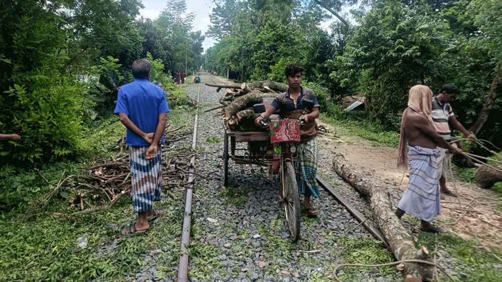 টেন্ডার ছাড়াই রেলের জমির গাছ কাটার অভিযোগ বিএনপি নেতার বিরুদ্ধে