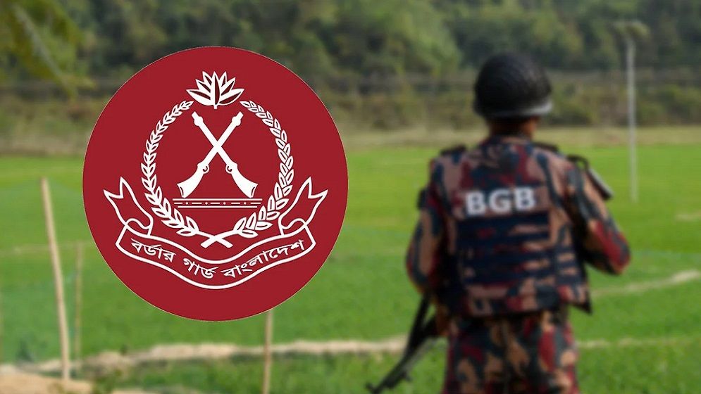 সাতক্ষীরা সীমান্তে বিজিবির কাছে ১৬ বাংলাদেশিকে হস্তান্তর করলো বিএসএফ