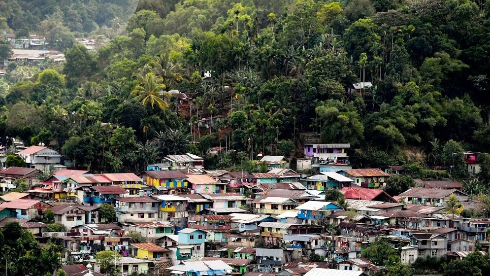ইন্দোনেশিয়ার পাপুয়ায় ৬.৫ মাত্রার ভূমিকম্প