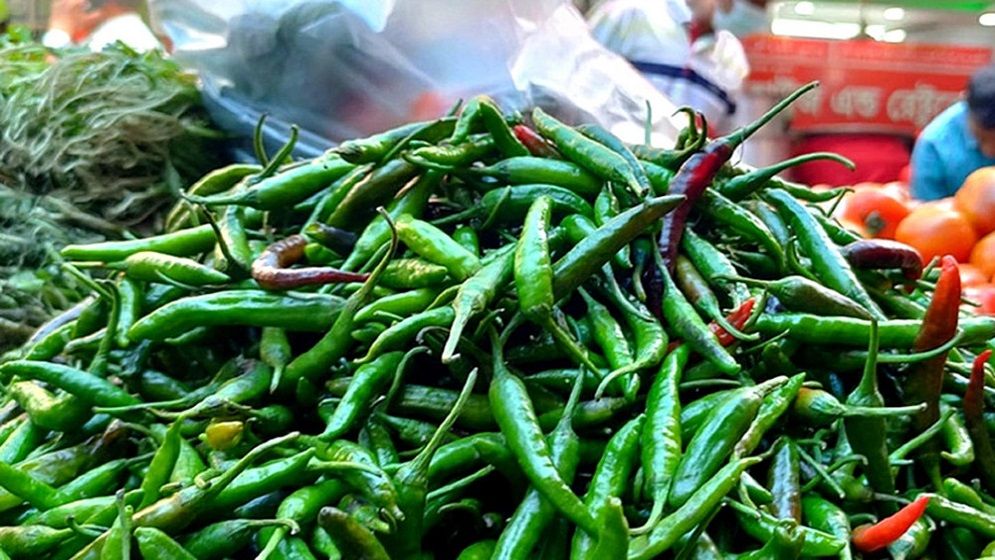 বৃষ্টিতে মরিচের সরবরাহ কম, কেজি ৩০০ টাকা ছাড়াল