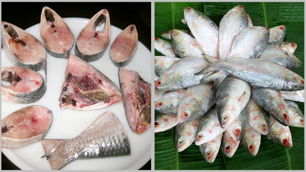 টুকরো আকারে ইলিশ বিক্রি হলে খেতে পারবে গরিবেরাও