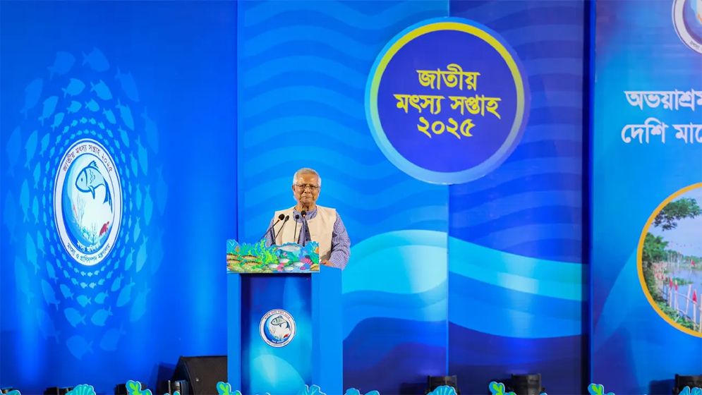 সামুদ্রিক মৎস্য সম্পদের বিপুল সম্ভাবনা রয়েছে: প্রধান উপদেষ্টা
