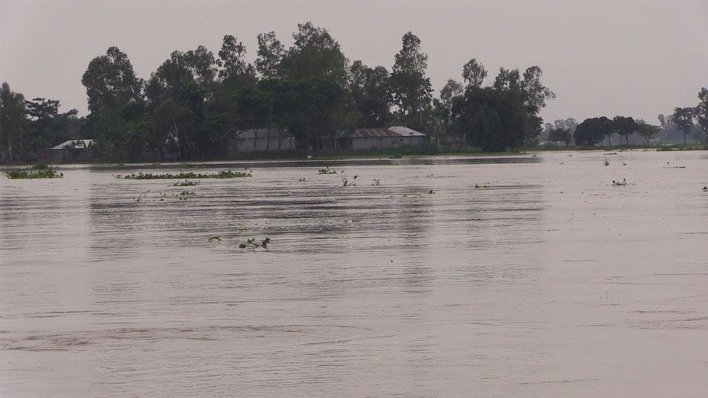 পদ্মা ও গড়াই নদীতে পানি বৃদ্ধি, কুষ্টিয়ার দৌলতপুরে ৫০ হাজার মানুষ পানিবন্দি