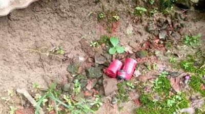 ফরিদপুরে বাড়ির আঙিনা থেকে দুই ককটেল উদ্ধার