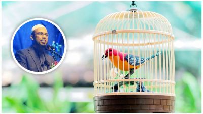 খাঁচায় বন্দি রেখে পাখি পালন করা কি জায়েজ আছে?