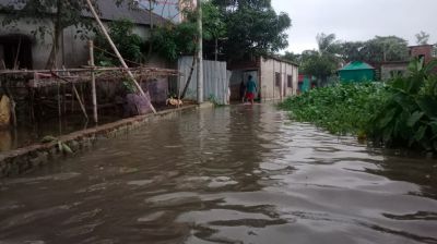 রূপগঞ্জে শতশত বিঘা ফসলি জমি অনাবাদী যে কারণে-