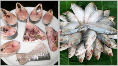 টুকরো আকারে ইলিশ বিক্রি হলে খেতে পারবে গরিবেরাও