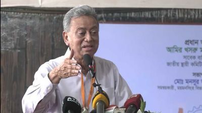 সংবিধান সংশোধন অবশ্যই সংসদে করতে হবে: আমীর খসরু