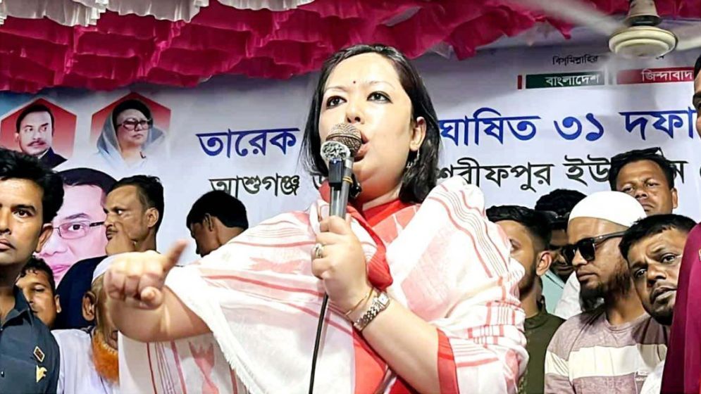 ভোটে তারা ১০ আসনও পাবে না : ব্যারিস্টার রুমিন