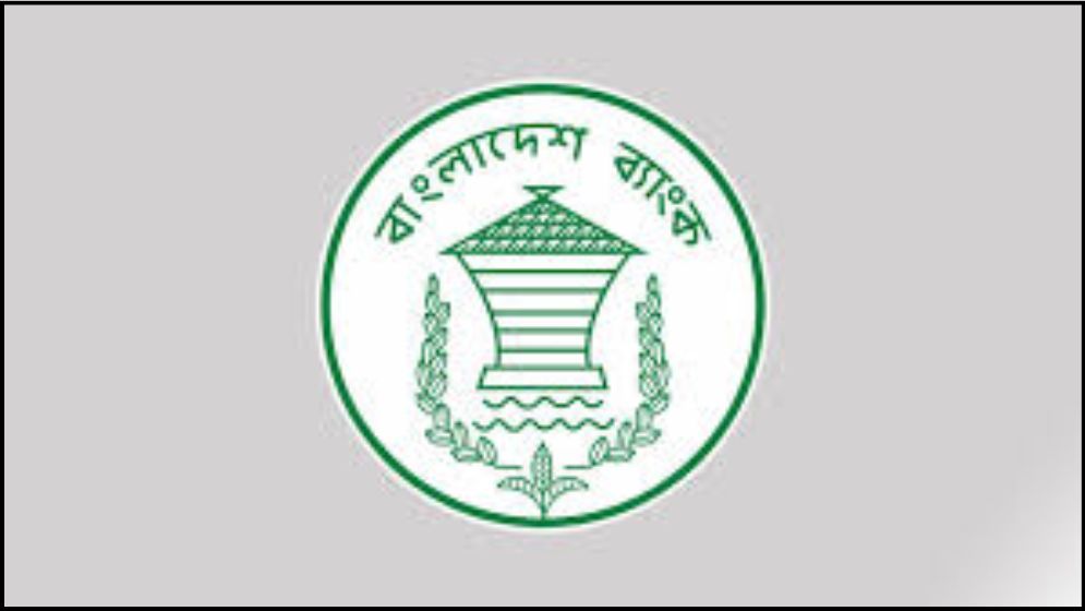 বেসরকারি খাতের বিদেশি ঋণ বিবির নজরদারিতে