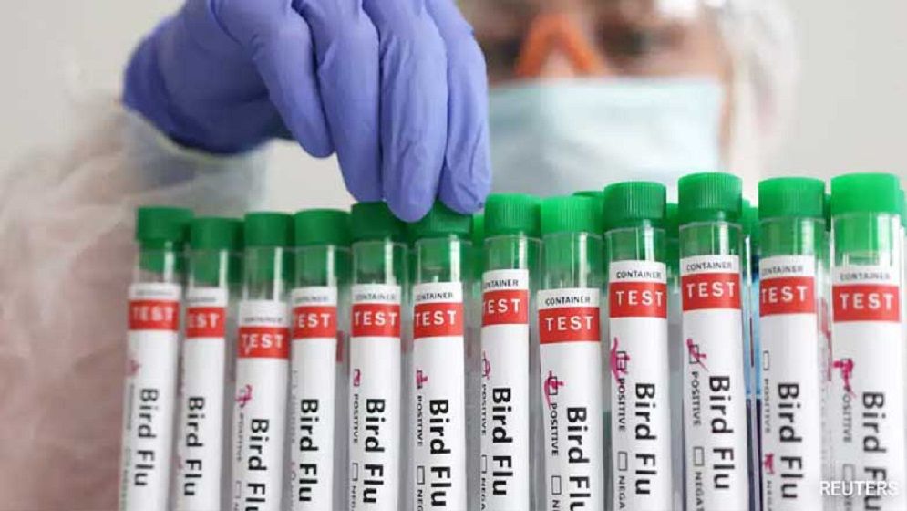 চার শিশুর শরীরে বার্ড ফ্লু শনাক্ত