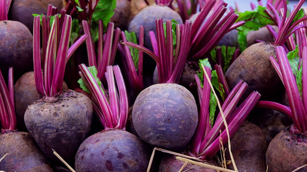 হার্ট ভালো রাখতে সাহায্য করবে যে সবজি