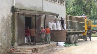 কুড়িগ্রামে ইউরিয়া সার সংকটে কৃষক বিপাকে