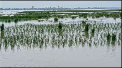 কুড়িগ্রামে নদ-নদীর পানি বৃদ্ধি পেয়ে নিম্নাঞ্চল প্লাবিত
