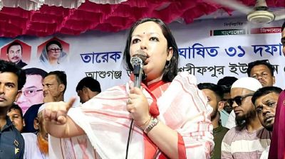 পিআর ছাড়া নির্বাচনে যাবে না, কারণ তারা ১০ আসনও পাবে না: রুমিন ফারহানা