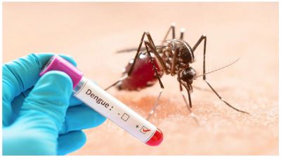 ডেঙ্গুতে একদিনে ঢাকায় ৪ মৃত্যু, হাসপাতালে ৮৪৫