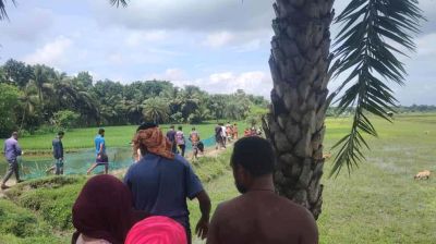 পাইকগাছায় বেদখল হওয়া জমি ২০ বছরেও উদ্ধার হয়নি