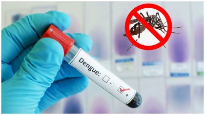 ডেঙ্গুতে আরও ২ জনের মৃত্যু, হাসপাতালে ভর্তি ৪৪৫