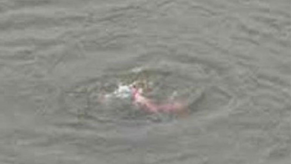 কুড়িগ্রামে পুকুরের পানিতে ডুবে শিশুর মৃত্যু