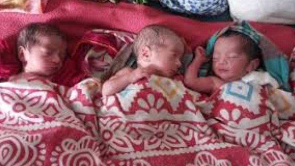 তিন নবজাতকের মাকে উপহার দিলেন ইউএনও