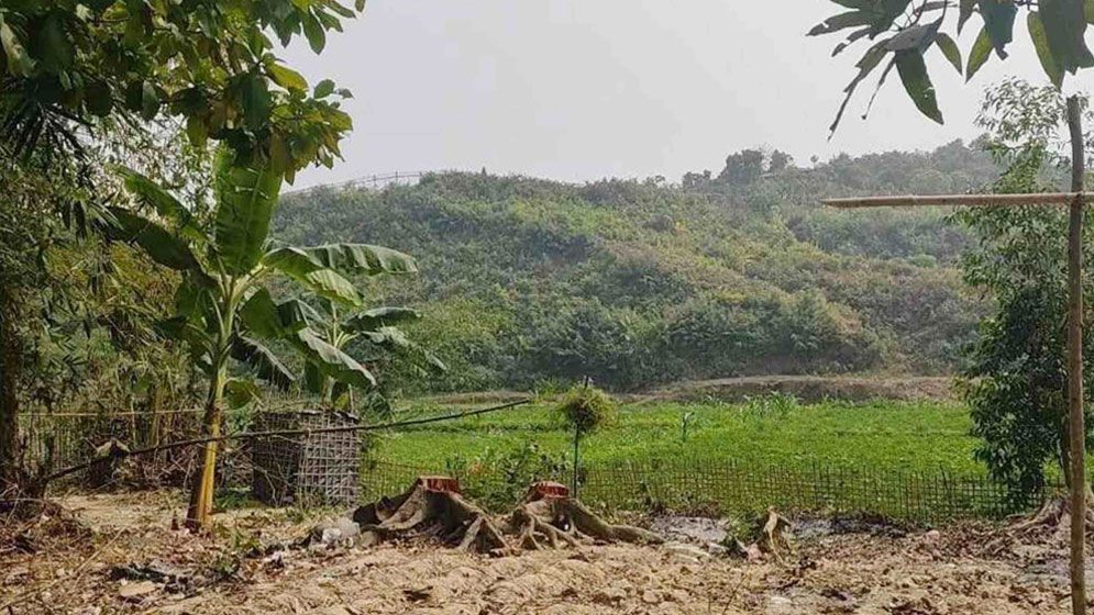 মিয়ানমার সীমান্তে গুলিতে টেকনাফে নারী আহত