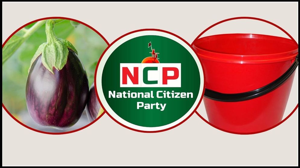 এনসিপিকে বেগুন-বালতিসহ ৫০ প্রতীকের অপশন