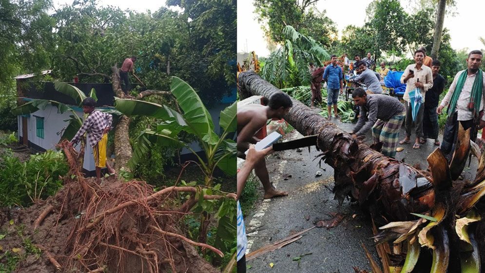 আকস্মিক ঝড়ে লন্ডভন্ড নওগাঁ