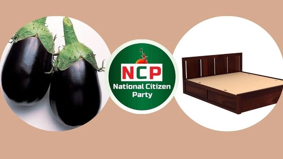 এনসিপিকে বেগুন-খাট দিতে চায় ইসি