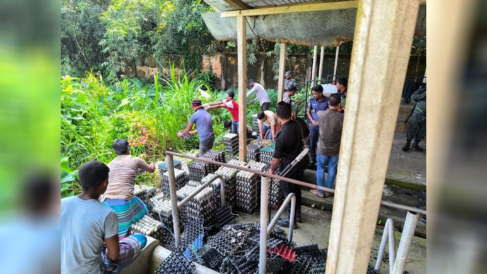 হিমাগারে থাকা দুই লাখ পচা ডিম ধ্বংস, জরিমানা তিন লাখ