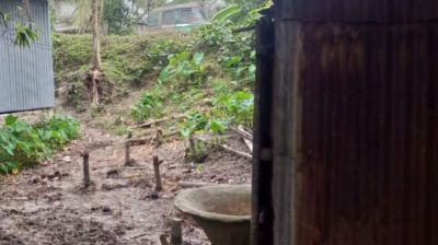 পাকুন্দিয়ায় ছয় গরু চুরি, আতঙ্কে কৃষকরা