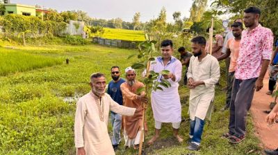 চিলমারীতে ছাত্রদলের বৃক্ষরোপণ কর্মসূচি