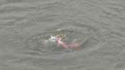 কুড়িগ্রামে পুকুরের পানিতে ডুবে শিশুর মৃত্যু