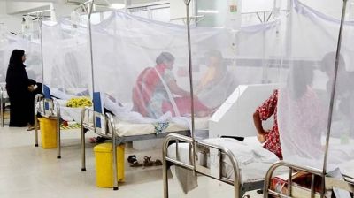 ডেঙ্গুতে আরও নয়জনের মৃত্যু, সর্বোচ্চ আক্রান্তের রেকর্ড