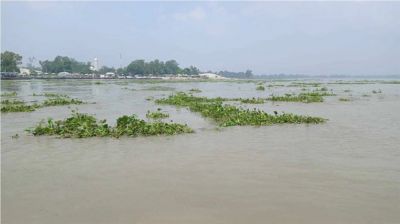 যমুনার পানি অস্বাভাবিক হারে বাড়ছে