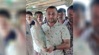 আড়াই কেজির ইলিশ বিক্রি ৯ হাজার ৫শ টাকায়