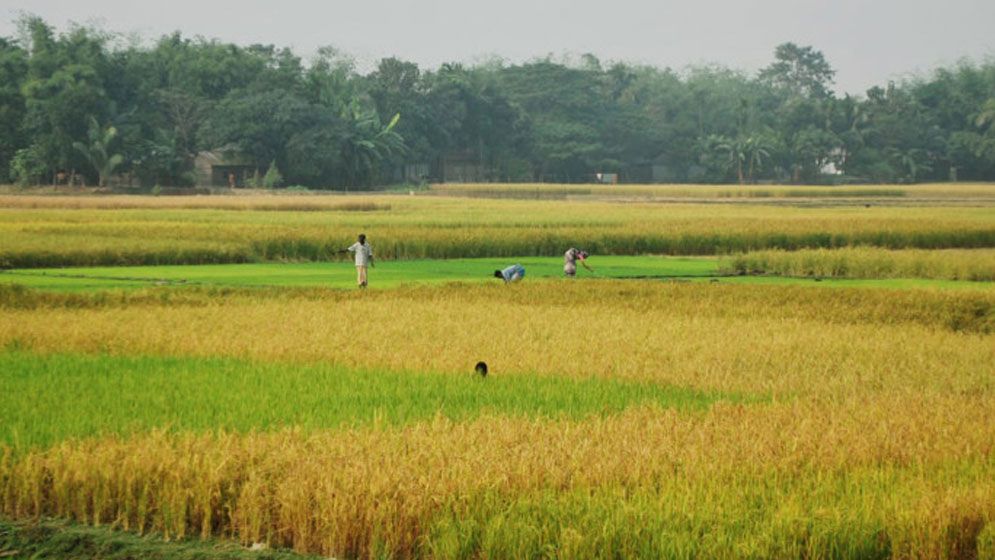অবাধ ভূমি ব্যবহার বন্ধে ১৮ শ্রেণির জোনিং পদ্ধতি চালু হতে যাচ্ছে